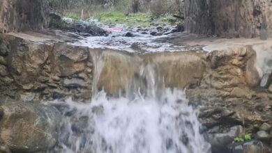 yagislar sonrasi lefke deresi akmaya basladi 62RQ8pZp