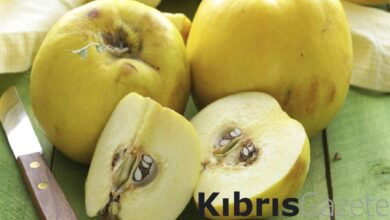 yatmadan once 1 dilim yiyin ne dilerseniz dileyin 8RF1lwme