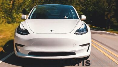 Yeni Tesla modelleri Norveç'te yasaklanmaya başladı: İşte nedeni 3 yeni tesla modelleri norvecte yasaklanmaya basladi iste nedeni XO74Cyx4
