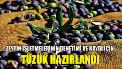 zeytin isletmelerinin denetimi ve kaydi icin tuzuk hazirlandi 1346 2024 01 14 m