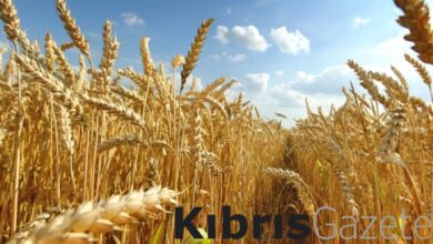 2022 2023 uretim sezonuna ait gubre destegi hesap kapatma odemeleri yapiliyor CqepZuOe