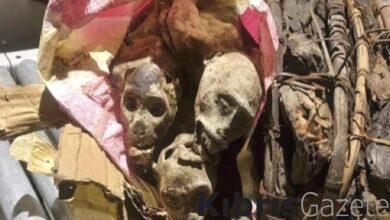 abdye maymun mumyasiyla girmeye calisan afrikali yolcu 7dbhEvWg