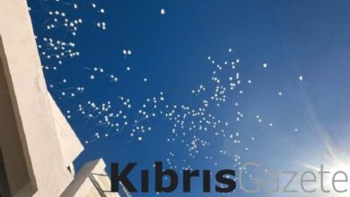 adalet balonlari sonsuzluga birakildi I4tUALLy