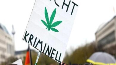 almanyada eglence amacli esrar kullanimi yasallasti PhO3G5X9