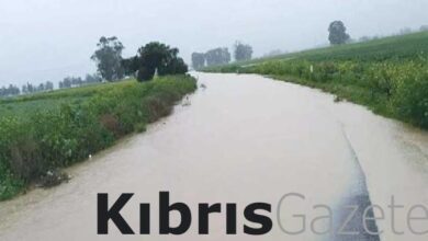 asiri yagislar bostancida etkili oldu orakcioglu guneyden gelen bostanci deresi tasti mudahalede bulunarak kontrollu LNeb7nri