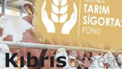 buyukbasta dusuk tazminatlari odendi JexBKO6t