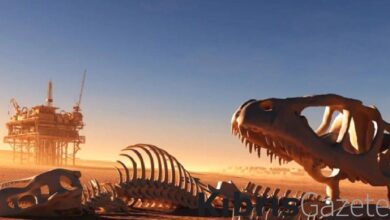 dunya kitlesel bir yok olusa dogru mu gidiyor gocmen hayvanlarin yuzde 20si tehlikede jm48OxV4