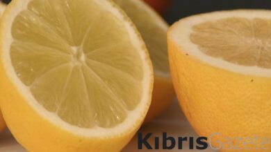 ensenizde limon gezdirin gizemini kesfedin d1Df3NyU