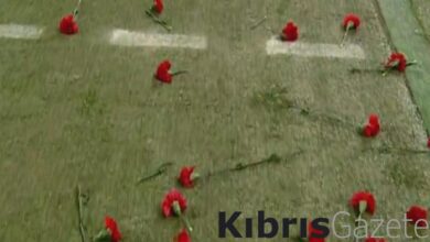 Gaziantep FK - Fenerbahçe maçında deprem felaketi unutulmadı! Sahaya karanfiller atıldı 3 gaziantep fk fenerbahce macinda deprem felaketi unutulmadi sahaya karanfiller atildi BGMxiesb