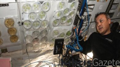 gezeravci uzayda son deneyi de yapti metabolom INL3nAq2