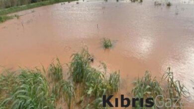 Güney’de aşırı yağışlar patates tarlalarına zarar verdi 9 guneyde asiri yagislar patates tarlalarina zarar verdi 2paBYZl6