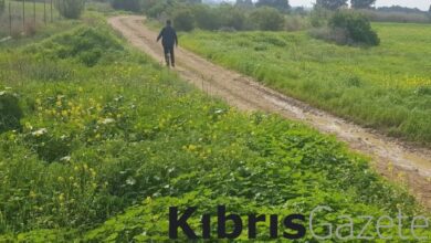 guzelyurt hayvanlari koruma dernegi icisleri bakanligina tesekkur etti qWR6Yh5w