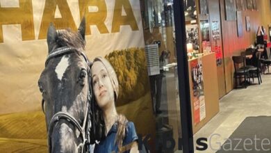 hara filmi konusu nedir oyunculari kimlerdir sevgi ayrilik ve mucadele KbSGj2fX