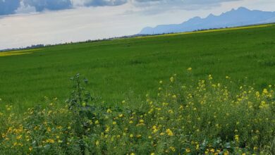 hava bulutlu olacak BtffvWUf