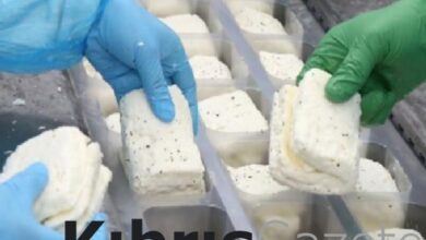 “Hellim”in PDO olarak tescilinin iptali için yapılan başvuru reddedildi 1 hellimin pdo olarak tescilinin iptali icin yapilan basvuru reddedildi RpgZ3v9l