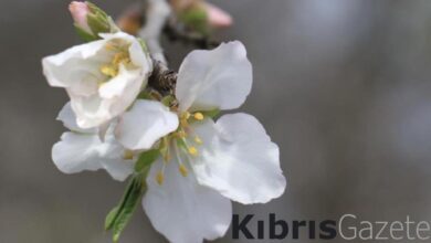 ilk cemre havaya dustu kYxBKR2w