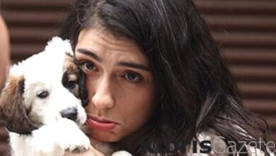 İnci Taneleri'nin sevimli dostu Coci bakın nasıl kadroya girmiş 1 inci tanelerinin sevimli dostu coci bakin nasil kadroya girmis cm8Z7wQg