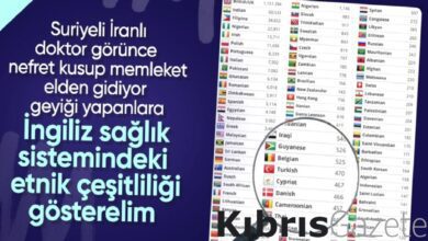 İngiltere hastanelerindeki personel profili: Her 5 çalışandan 1'i İngiliz vatandaşı değil 2 ingiltere hastanelerindeki personel profili her 5 calisandan 1i ingiliz vatandasi degil zujkqmz6