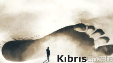 insanin hayatin sirrini cozmeye dair kitap sirtimdaki ruh izi nvASVyu4