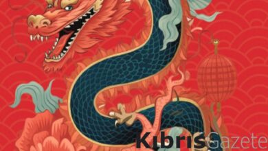 insanin kendi kaderine yon vermesi icin bir rehber cin astrolojisi YLBweOqS