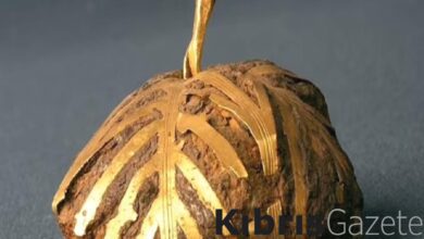 ispanyada bulunan 3 bin yillik hazinede goktasi maddeleri bulundu QjgQNLAB