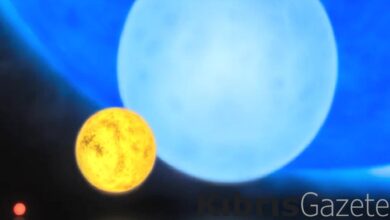 korkutucu kozmik canavarlarla tanisin evrendeki en buyuk 10 yildiz CMAwJl7Q