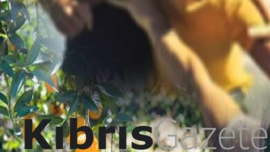 narenciye fabrikasinda alacak verecek kavgasi iki saldirgan firarda Gwk8We85