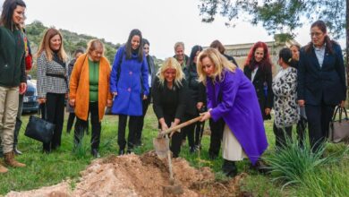 pamukluda tezgahlar kuruldu 50 bin ipek bocegi ile uretim baslayacak aDhAigKD