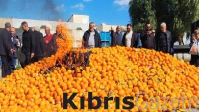 sahali narenciye yanmaz deme yanar HFCarmnv