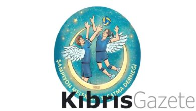 sampiyon melekleri yasatma dernegi hayir kurumu ilan edildi thI38vhD