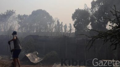 Şili'de meydana gelen orman yangınlarında ölü sayısı 64'e yükseldi 2 silide meydana gelen orman yanginlarinda olu sayisi 64e yukseldi ptF2L4gF