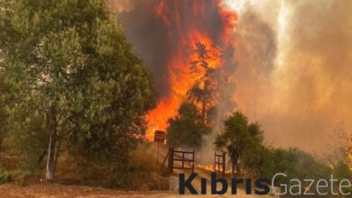 silideki orman yanginlarinda 10 kisi oldu ohal ilan edildi RJ4XY93t