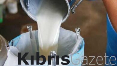 sut bedelleri odendi QT3DfHAm