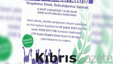 tezgahimiz emek dokudugumuz gelecek sloganiyla emekci kadinlar panayiri kuruluyor E4tFkYWQ