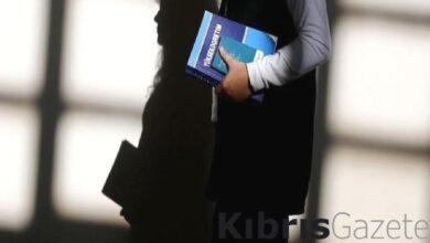 turkiyede kadin akademisyen orani oecd ortalamasinin uzerine cikti 7mGvyzcK