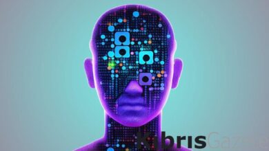 uzmanlar uyariyor yapay zekayla bilgilerinizi paylasmayin qO6lQh9r