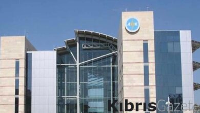 aikin elektrik direklerini kesti bakir kablolari calip hurdaciya satti 9vxV2FA8