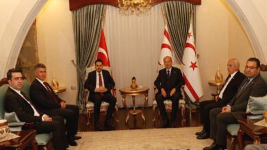 cumhurbaskani tatar yurtdisi turkler ve akraba topluluklar baskanligi heyetini kabul etti 7bEYXCgJ