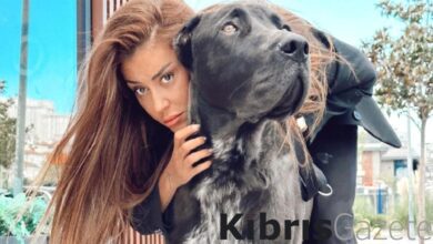 Fenomen Banu Parlak hakkında yeni şikayet: Köpeği, cins köpeği parçaladı! 5 fenomen banu parlak hakkinda yeni sikayet kopegi cins kopegi parcaladi l4ekcSLc