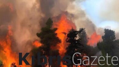 guneyde yangin cikarana 50 bin euro ceza VQPYep4u