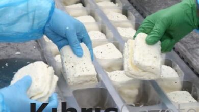 Hellim üretiminde kullanılan süt oranının kesinleştirilme süresi 5 yıl uzatıldı 1 hellim uretiminde kullanilan sut oraninin kesinlestirilme suresi 5 yil uzatildi SbZ2XSAR