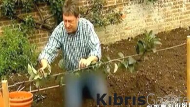 kuzey korede devlet televizyonu kot pantolonunu sansurledi n8Mzw328