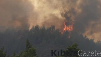 Meksika'da 15 eyalette 58 orman yangını: Bin 421 hektarlık ormanlık alan küle döndü 9 meksikada 15 eyalette 58 orman yangini bin 421 hektarlik ormanlik alan kule dondu m9gDasIN