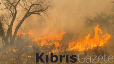 Meksika’da 15 eyalette 58 orman yangını çıktı 4 meksikada 15 eyalette 58 orman yangini cikti qizDVdtb