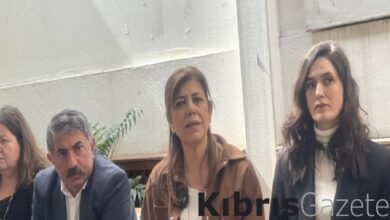 Meral Danış Beştaş: Kendimize oy verelim, başkasına değil 8 meral danis bestas kendimize oy verelim baskasina degil KRb8jjkk
