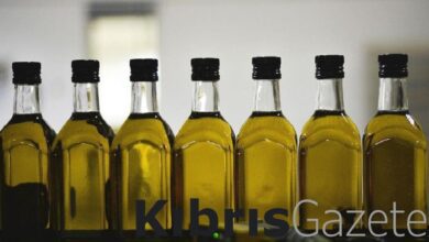 Tarım Dairesi’nden zeytin ve zeytin ürünleri işletmelerine duyuru 1 tarim dairesinden zeytin ve zeytin urunleri isletmelerine duyuru 2Dq9297h