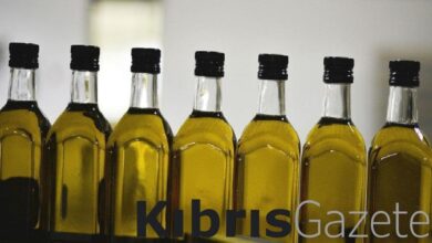 Tarım Dairesi’nden zeytin ve zeytin ürünleri işletmemelerine duyuru 2 tarim dairesinden zeytin ve zeytin urunleri isletmemelerine duyuru bvybw9ty