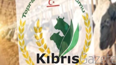 tukten arpa aciklamasi yeterli yemlik arpa mevcut m9xlVrYJ