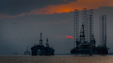 Girne'nin Deniz Altı Dünyası: Dalış ve Sualtı Görüntüleri 10 uploaded image girnenin deniz alti dunyasi dalis ve sualti goruntuleri 1711149219642