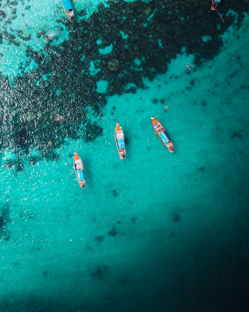 Girne'nin Geleceği: Sürdürülebilir Turizm ve Kalkınma